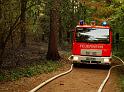 Waldbrand Bergisch Gladbach Bensberg P151